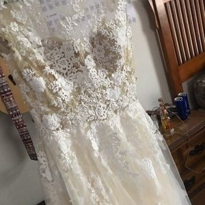 Pronovias afelia wedding gown